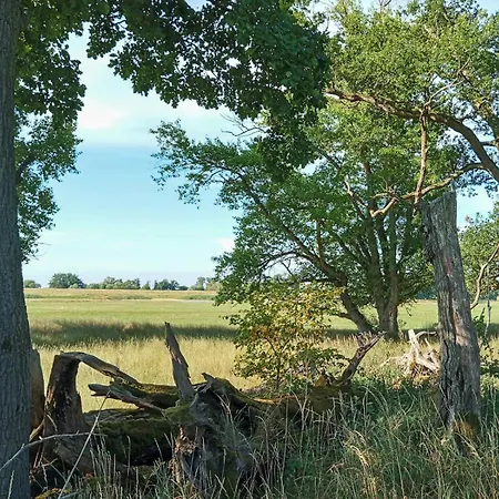 Nyaraló Historic House By The Elbe River