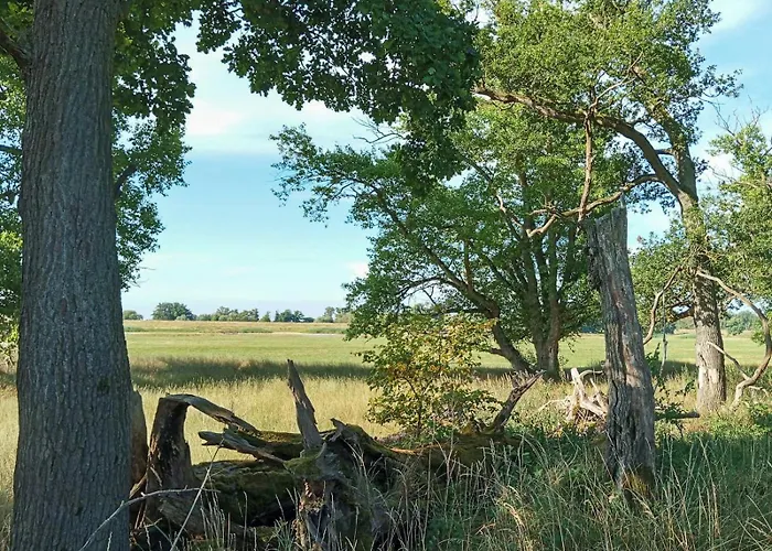 Semesterbostad Historic House By The Elbe River